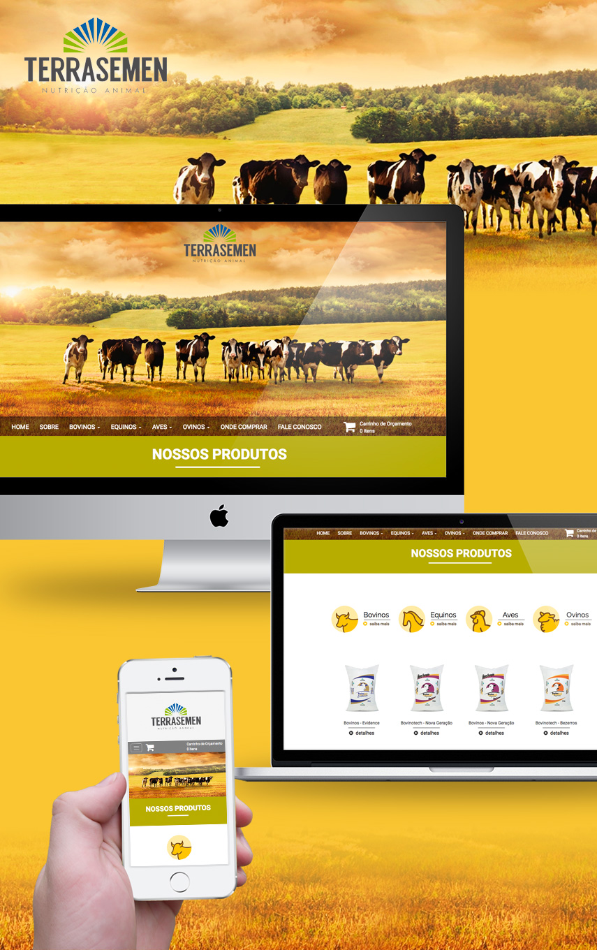 Terrasemen-Blog-Conteudo